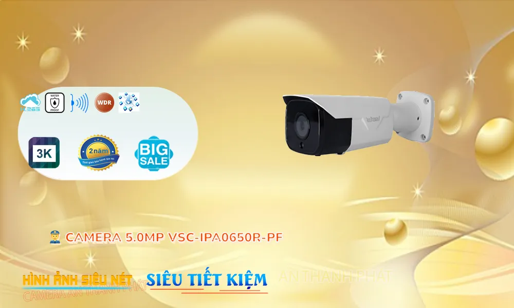 Camera Visioncop VSC-IPA0650R-PF